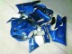 2000-2001 Blue YZF R1 Motorcycle Fairing & Bodywork 2000-2001 Blue YZF R1 Motorcycle Fairing & Bodywork