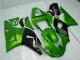 2000-2001 Green YZF R1 Motorcycle Fairings 2000-2001 Green YZF R1 Motorcycle Fairings