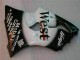 2000-2002 Black West Ninja ZX6R Motorcycle Fairings 2000-2002 Black West Ninja ZX6R Motorcycle Fairings
