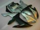 2002-2003 Silver YZF R1 Motorcycle Fairing