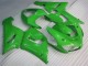 2005-2006 Green ZX6R Motorcycle Fairing 2005-2006 Green ZX6R Motorcycle Fairing