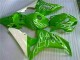 2006-2007 Green CBR1000RR Motorcycle Fairings 2006-2007 Green CBR1000RR Motorcycle Fairings