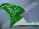 2006-2007 Green CBR1000RR Motorcycle Fairings 2006-2007 Green CBR1000RR Motorcycle Fairings
