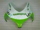 2008-2011 Green White CBR1000RR Motorcycle Fairing 2008-2011 Green White CBR1000RR Motorcycle Fairing