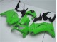 2008-2012 Green EX250 Motorcycle Bodywork 2008-2012 Green EX250 Motorcycle Bodywork