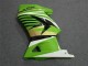 2008-2012 Green White Black Ninja EX250 Motorcycle Fairings