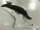 2008-2016 White YZF R6 Motorcycle Fairings 2008-2016 White YZF R6 Motorcycle Fairings